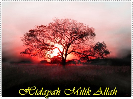 Hidayah-Milik-Allah