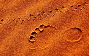 jangan-takut-melangkah