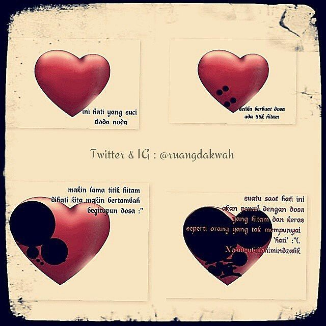 11886995_1680955752134882_1323803578_n